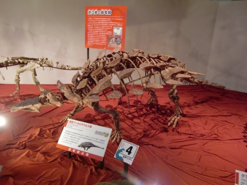 縉雲アンキロサウルス類