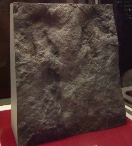Footprint of Otari