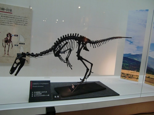 Stenonychosaurus inequalis 001
