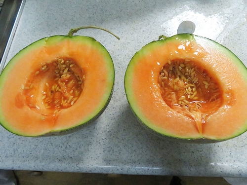 20170716 melon2