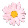 flower50.png