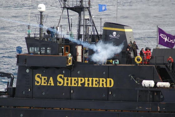 シー・シェパード ポール・ワトソン テロ等準備罪 捕鯨 テロリスト 妨害