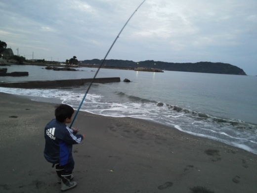 冨浦漁港で釣り (15)
