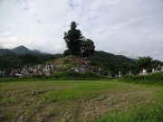 登り坂で見かけた集落の集合墓