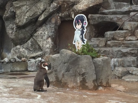 【けもフレ】東武動物公園のフルルパネルが退避！！　グレープ君(´・ω・｀)