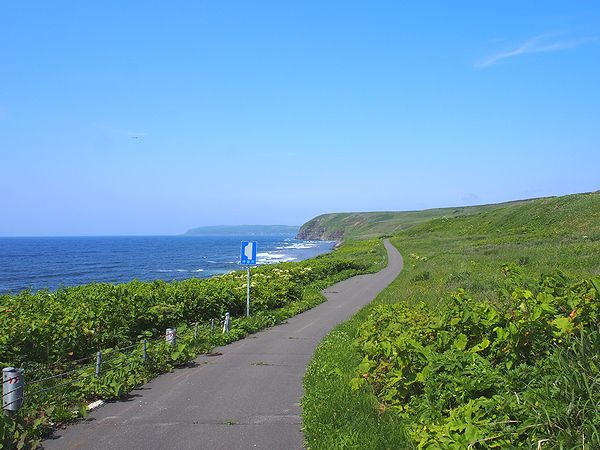 道道焼尻島線