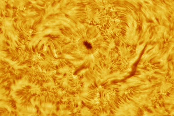 SunspotHa_20170806_142916_2670G-2.jpg
