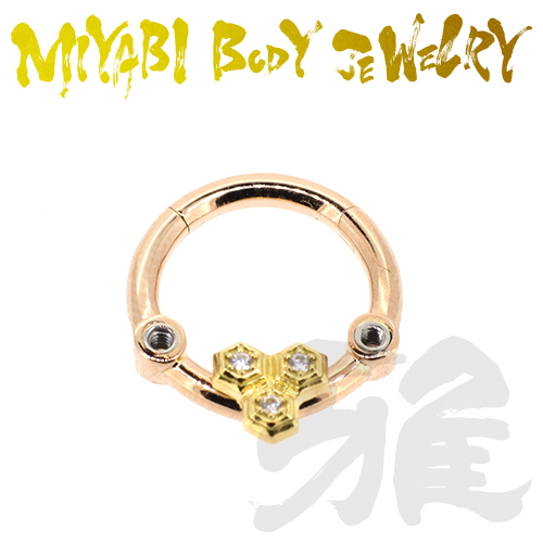 jewelry_ring_san_pg.jpg