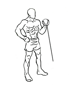 Standing-one-arm-bicep-curl-2.gif