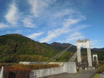 戸川公園吊り橋２１１１０７