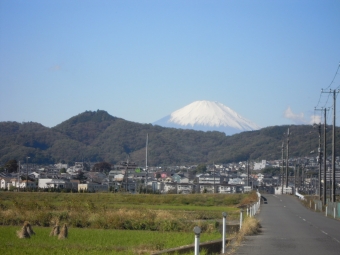 富士山の左手の山までにしようか？２１１１１１