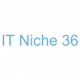  IT Niche 36