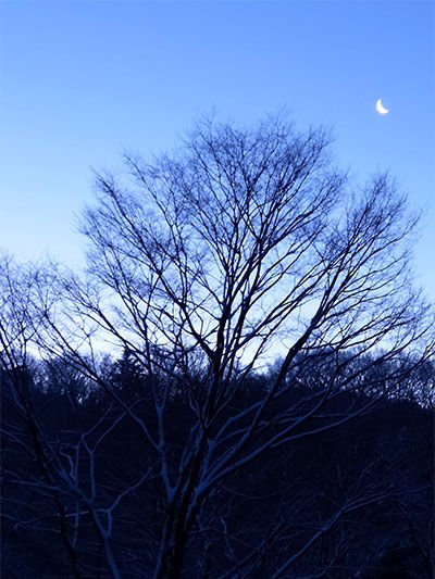 美しい 冬の夜明け 軽井沢ドリームハウス生活日誌
