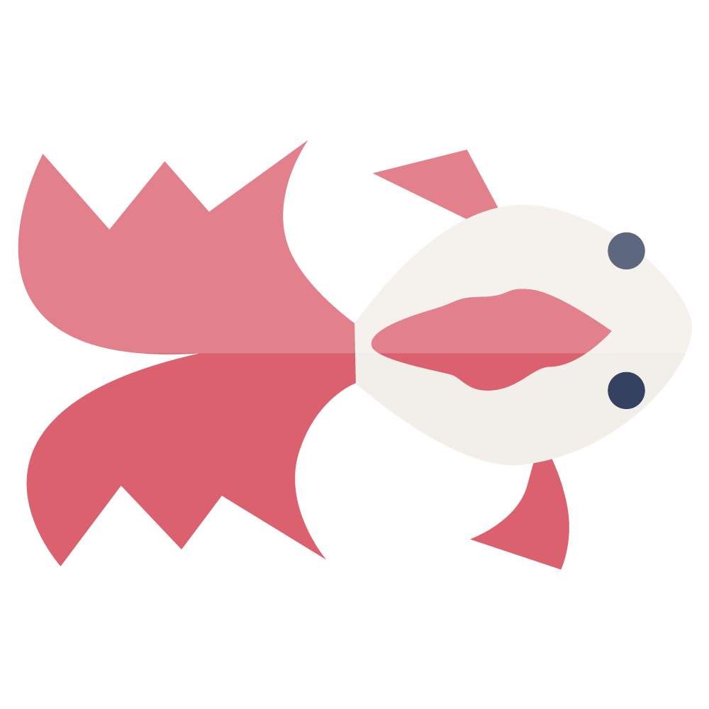 金魚1