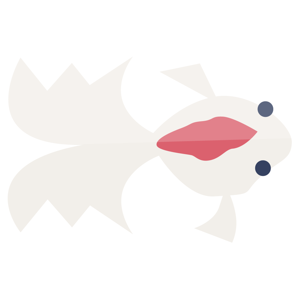 金魚3