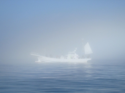 靄の中の僚船