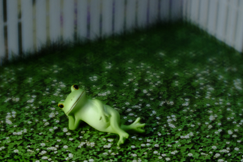 ツバキアキラが撮った、カエルのコポーシリーズ・Mr.Frog。ひとやすみ、ひとやすみ。