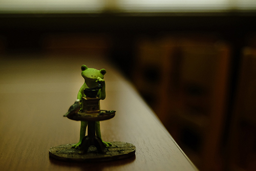 ツバキアキラが、ドトールでコーヒーを飲みながら撮った、カエルのコポーシリーズ・Mr.Frog