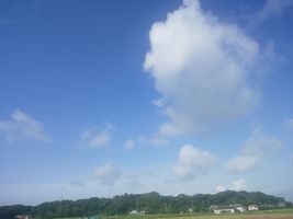 【写真】農園から見上げる青い空と白い雲