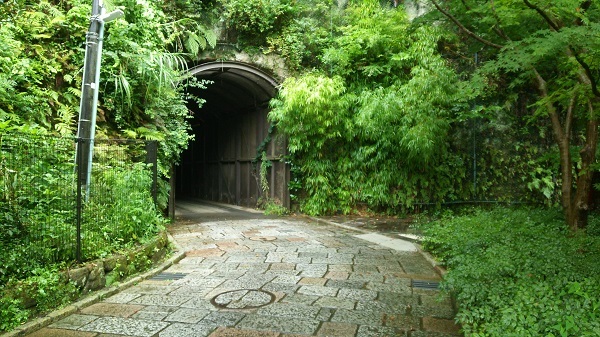 7外の緑のトンネル