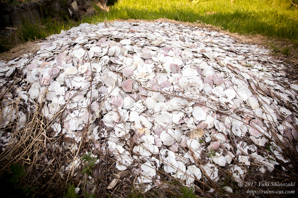【廃墟写真】西興部村上藻のサイロ付き住宅跡_ホタテの貝殻の山