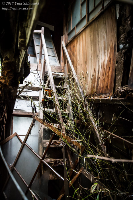 【廃墟写真】K医院_母屋内部その3。落ちた階段。
