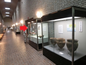 浜松博物館5