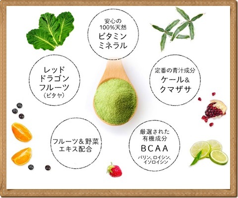 もっとキレイを応援する【すごくおいしいフルーツ青汁 ゴクリッチ(GOKURICH）】BCAA・プラセンタ入り！