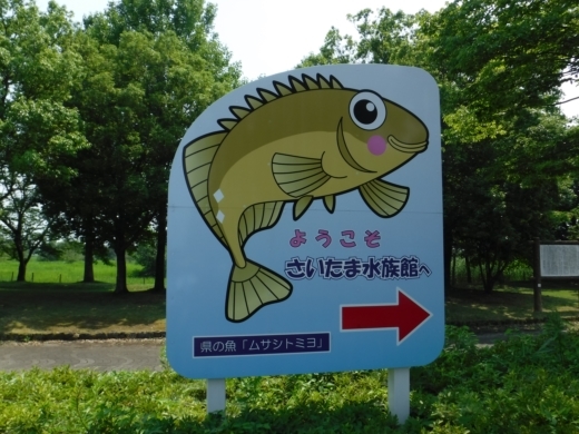 さいたま水族館 (15)