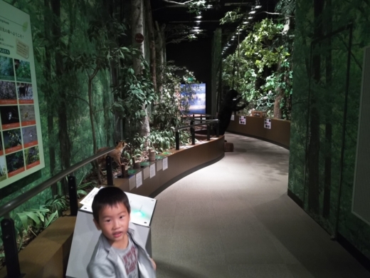 栃木自然博物館 (7)