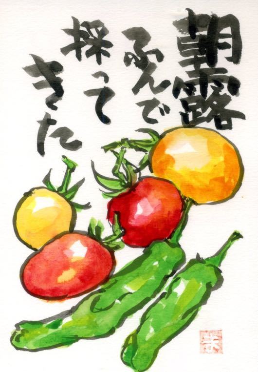 タコノアシのつぶやき 絵手紙57 夏野菜