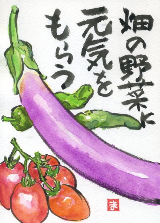 タコノアシのつぶやき 絵手紙60 まだとれる夏野菜