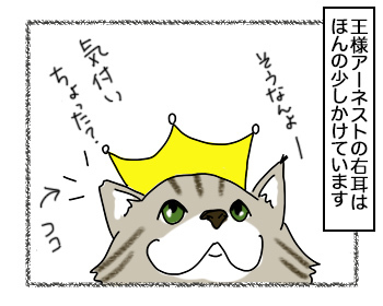 20092017_cat1.jpg
